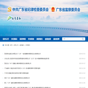 问责情况 - 南粤清风