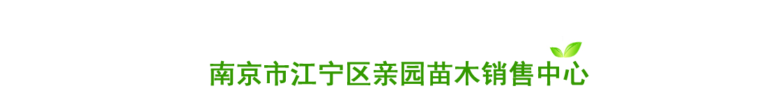 南京市江宁区亲园苗木销售中心